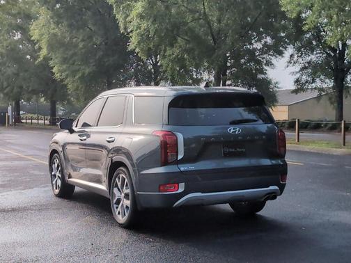 Rainforest 2022 Hyundai PALISADE SEL