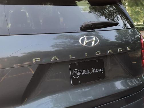 Rainforest 2022 Hyundai PALISADE SEL