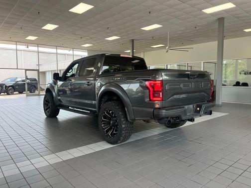Magnetic Metallic 2020 Ford F-150 Raptor