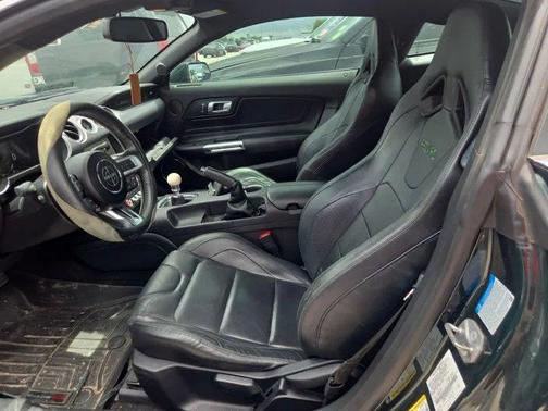 Dark Highland Green Metallic 2019 Ford Mustang Bullitt