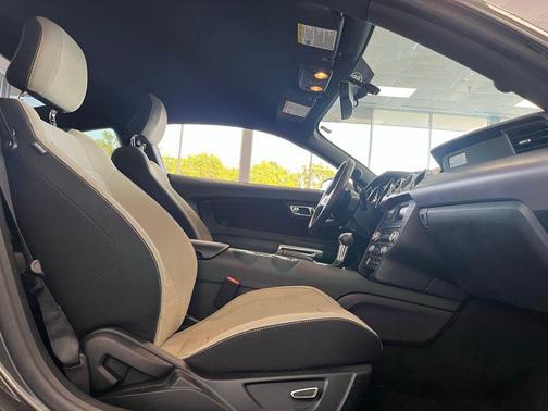 Magnetic 2016 Ford Mustang EcoBoost