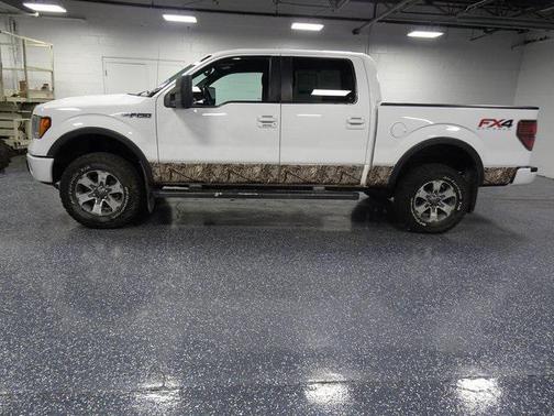 2014 Ford F-150 FX4