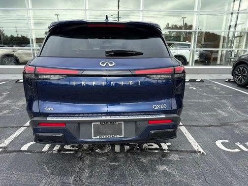 Grand Blue 2023 INFINITI QX60 Luxe