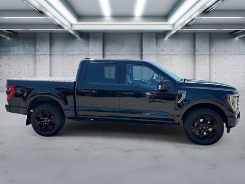 Agate Black Metallic 2023 Ford F-150 Platinum