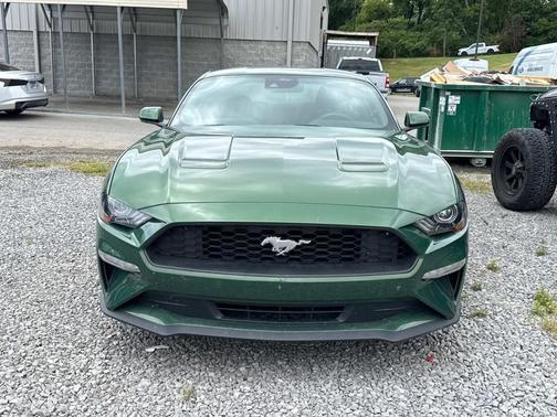2022 Ford Mustang EcoBoost
