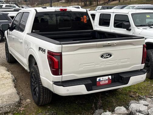 2024 Ford F-150 Platinum