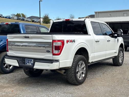 2021 Ford F-150 Platinum