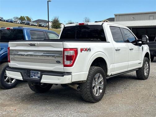 2021 Ford F-150 Platinum