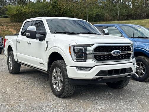2021 Ford F-150 Platinum