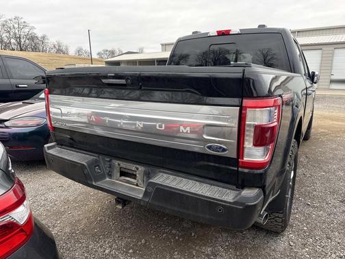 2021 Ford F-150 Platinum