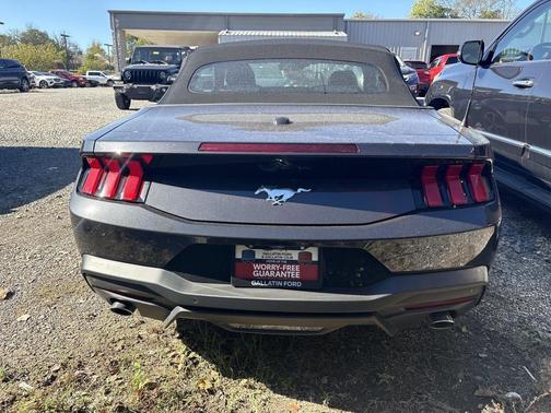 2024 Ford Mustang EcoBoost
