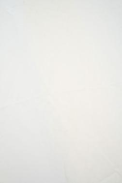 Ice Cap 2025 Toyota Camry LE