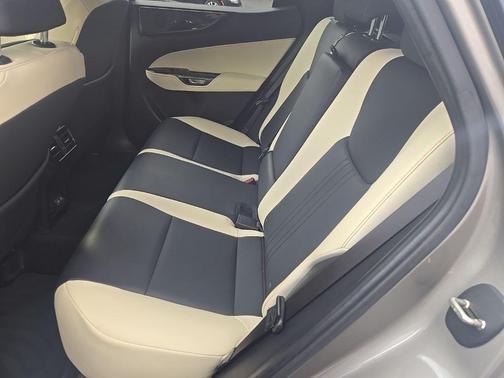 2024 Lexus NX 250 Premium