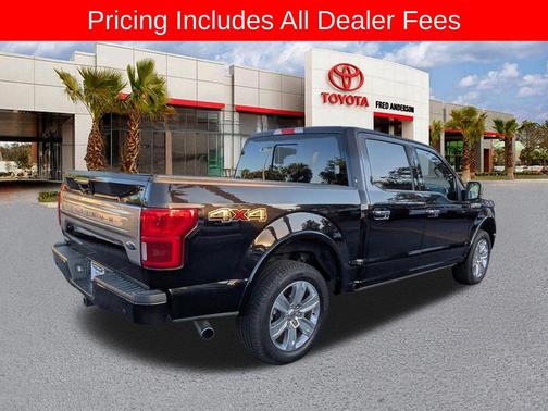 AGATE BLACK 2019 Ford F-150 Platinum