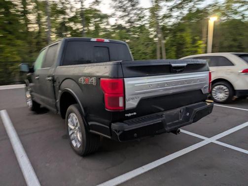 2019 Ford F-150 Platinum