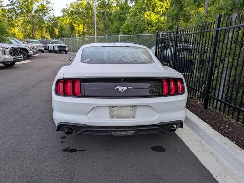 2019 Ford Mustang EcoBoost