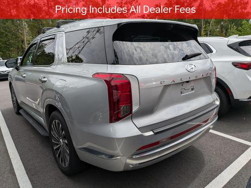 Typhoon Silver 2024 Hyundai PALISADE Calligraphy