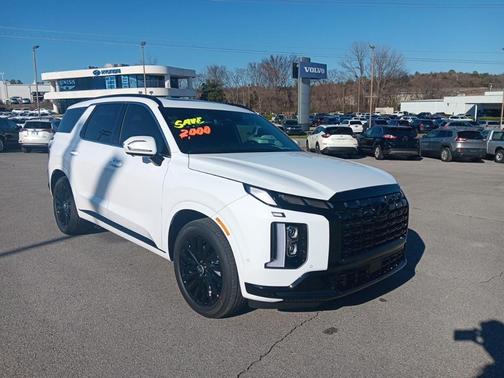 2025 Hyundai PALISADE Calligraphy Night Edition