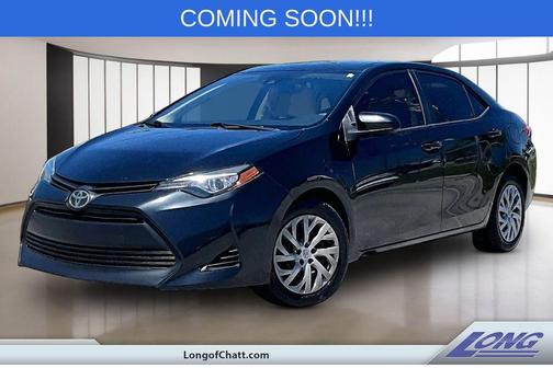Black Sand Pearl 2019 Toyota Corolla LE