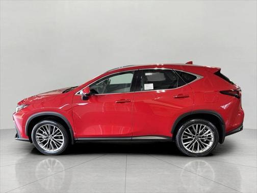 2025 Lexus NX 350h Luxury