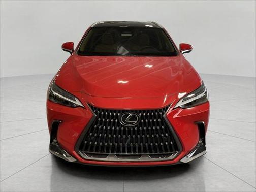 2025 Lexus NX 350h Luxury