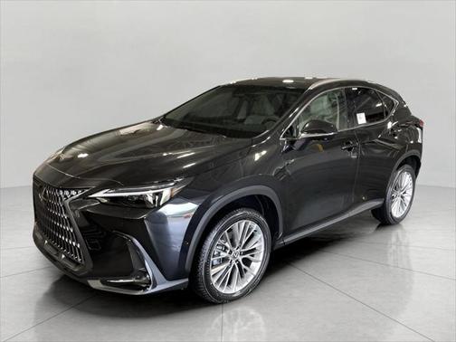 2025 Lexus NX 350 Luxury