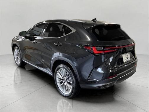 2025 Lexus NX 350 Luxury
