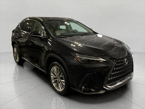 2025 Lexus NX 350 Luxury