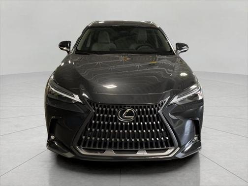 2025 Lexus NX 350 Luxury