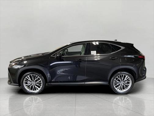 2025 Lexus NX 350 Luxury