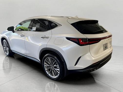 2025 Lexus NX 350h Luxury
