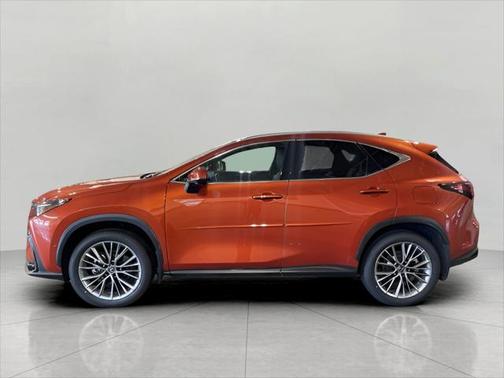 2022 Lexus NX 350h Luxury