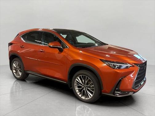 2022 Lexus NX 350h Luxury