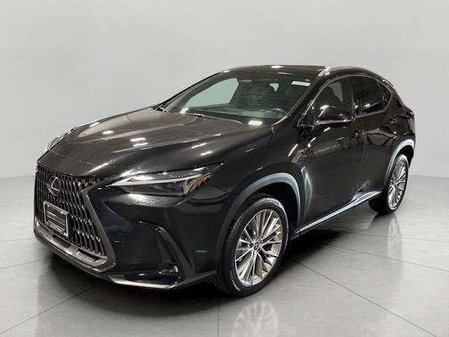 2024 Lexus NX 350 Luxury