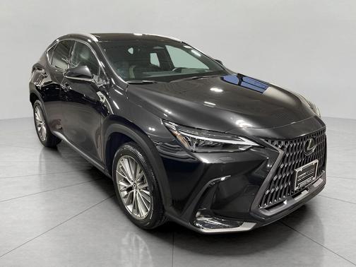 2024 Lexus NX 350 Luxury
