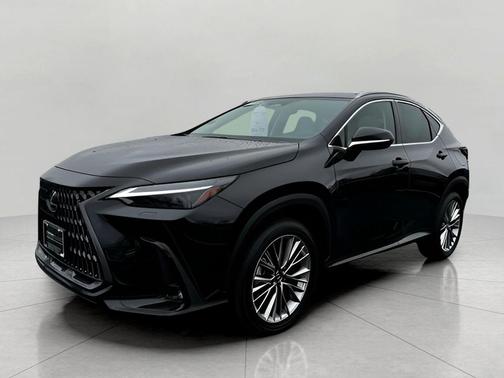 2025 Lexus NX 350h Luxury