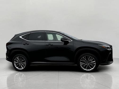 2025 Lexus NX 350h Luxury