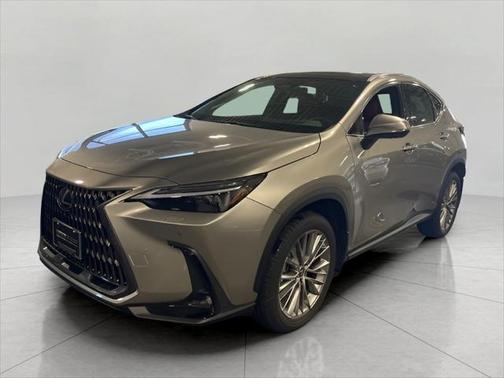 2024 Lexus NX 350h Luxury
