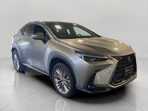 2024 Lexus NX 350h Luxury
