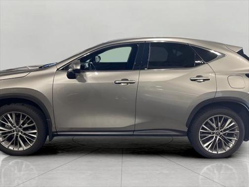 2024 Lexus NX 350h Luxury