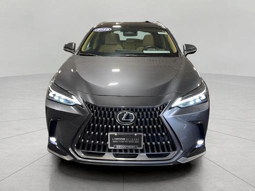 2025 Lexus NX 350h Luxury