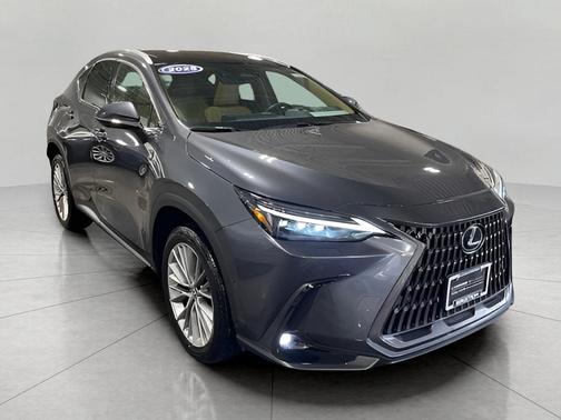 2025 Lexus NX 350h Luxury