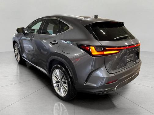 2025 Lexus NX 350h Luxury