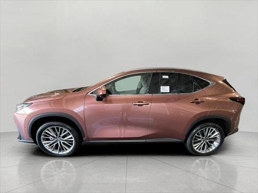 2025 Lexus NX 350h Luxury
