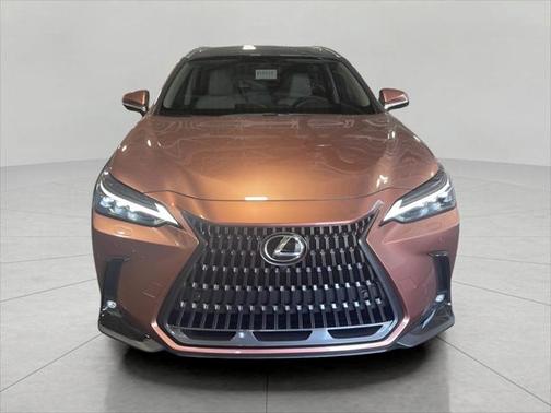 2025 Lexus NX 350h Luxury