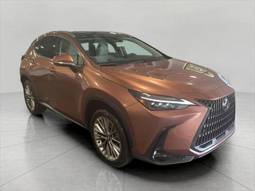 2025 Lexus NX 350h Luxury