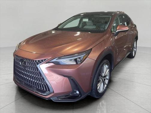 2025 Lexus NX 350h Luxury