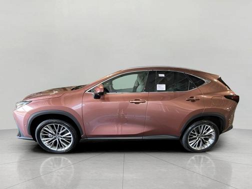 2025 Lexus NX 350h Luxury