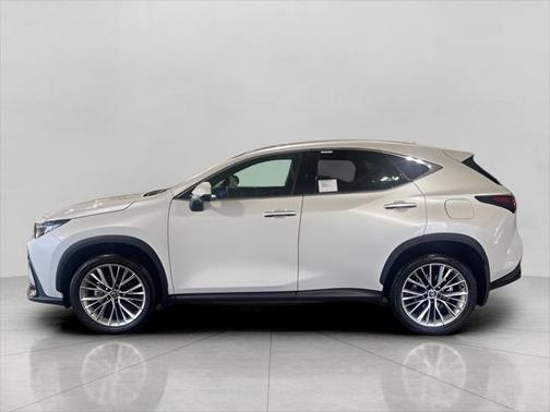 2025 Lexus NX 350h Luxury