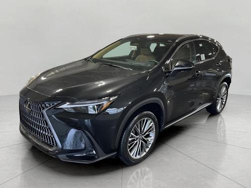 2025 Lexus NX 350h Luxury